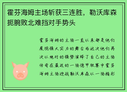 霍芬海姆主场斩获三连胜，勒沃库森扼腕败北难挡对手势头