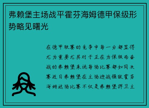 弗赖堡主场战平霍芬海姆德甲保级形势略见曙光